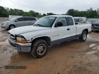 1999 Dodge Dakota SLT with VIN 1B7GL22X6XS288228, listed as a Copart auction lot 60561905 with 185,699 mi miles and Salvage title. Bid and sale history available at DreamBid. Image 1.