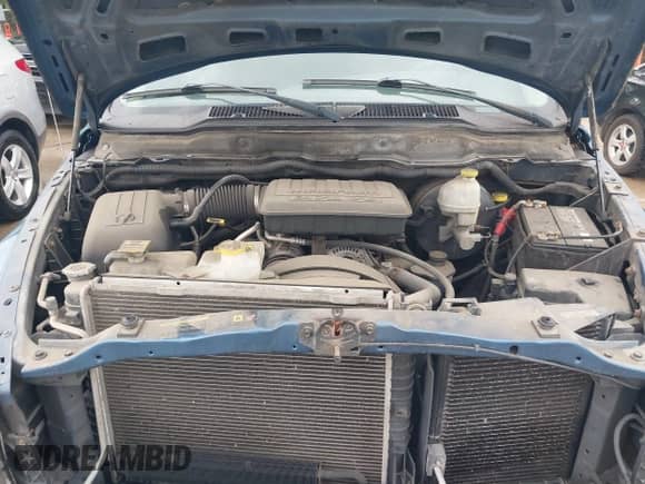 2005 Dodge 1500 ST with VIN 1D7HA16K35J648325, listed as a IAAI auction lot 42663772 with 164,461 mi miles and . Bid and sale history available at DreamBid. Image 10.