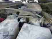 2015 Cadillac Escalade Premium z VIN 1GYS4NKJ3FR628746, wystawiony jako IAAI lot #43094962 z przebiegiem 157 215 mil mil oraz . Historia ofert i sprzedaży dostępna na DreamBid. Obrazek 10.