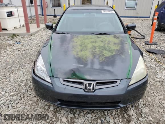 2003 Honda Accord EX with VIN 1HGCM66533A063584, listed as a Copart auction lot 86828605 with 153,021 mi miles and Clean title. Bid and sale history available at DreamBid. Image 5.