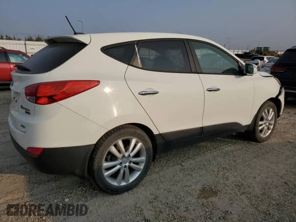 2010 Hyundai Tucson GLS with VIN KM8JUCAC4AU111000, listed as a Copart auction lot 71974685 with 211,510 mi miles and Salvage title. Bid and sale history available at DreamBid. Image 3.