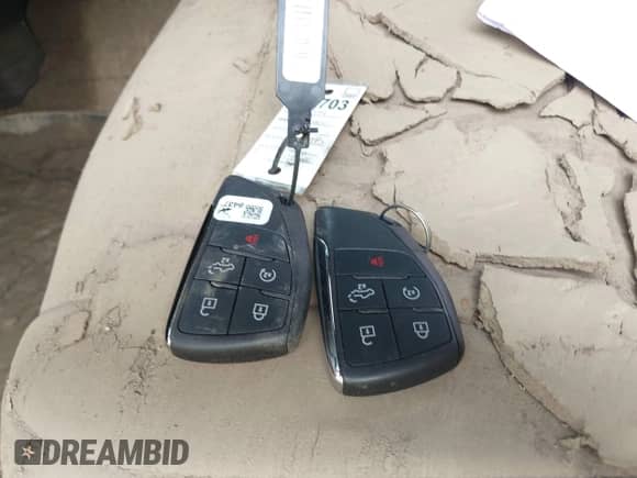 2024 Chevrolet Silverado 1500 Custom Trail Boss z VIN 3GCPDCEK2RG197468, wystawiony jako IAAI lot #42285969 z przebiegiem Nie podano mil oraz . Historia ofert i sprzedaży dostępna na DreamBid. Obrazek 11.