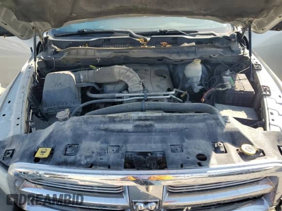 2010 Dodge 1500 SLT with VIN 1D7RV1GT4AS186927, listed as a Copart auction lot 75482764 with 251,671 mi miles and Salvage title. Bid and sale history available at DreamBid. Image 12.