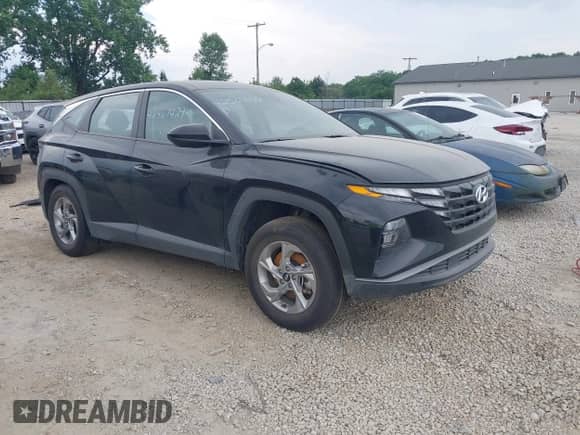 2024 Hyundai Tucson SE с VIN 5NMJACDE7RH381934, выставлен на аукционе IAAI как лот 42567429 с пробегом 8 579 миль миль и . История ставок и продаж доступна на DreamBid. Изображение 1.