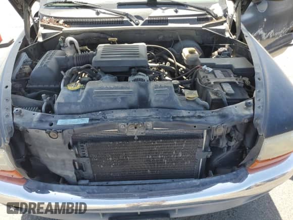 2001 Dodge Dakota Sport with VIN 1B7GG22N71S149199, listed as a Copart auction lot 66133735 with 195,576 mi miles and Salvage title. Bid and sale history available at DreamBid. Image 11.