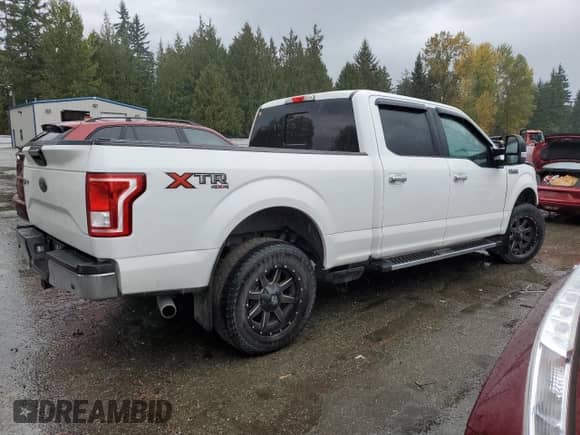 2017 Ford F-150 XLT with VIN 1FTFW1EF5HFB26519, listed as a Copart auction lot 82753675 with 134,315 mi miles and Salvage title. Bid and sale history available at DreamBid. Image 3.