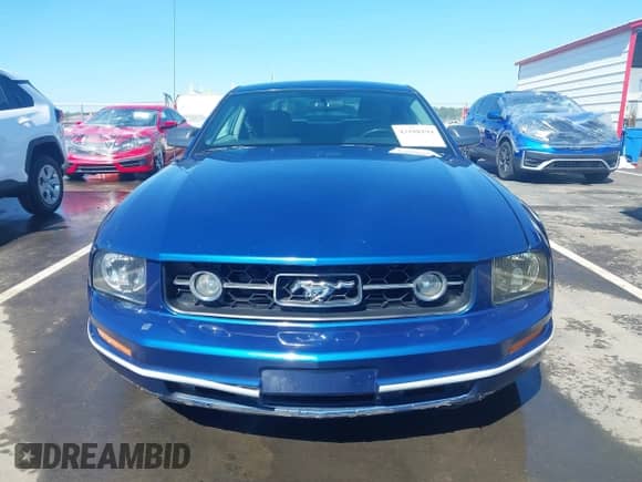 2008 Ford Mustang Deluxe with VIN 1ZVHT80N385125218, listed as a IAAI auction lot 43108194 with 220,698 mi miles and . Bid and sale history available at DreamBid. Image 13.