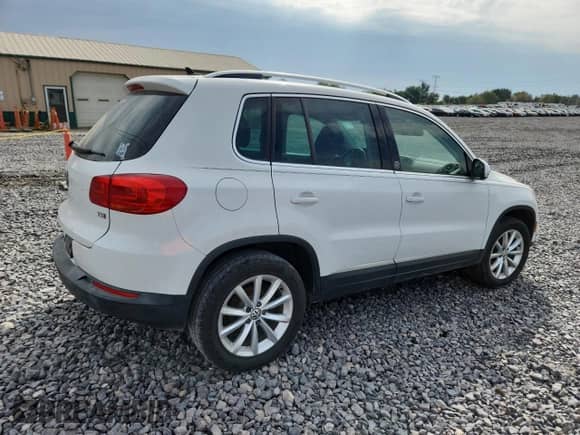 2017 Volkswagen Tiguan Wolfsburg Edition с VIN WVGRV7AX0HK000718, выставлен на аукционе Copart как лот 81674915 с пробегом 150 352 миль миль и Чистый • Clean title. История ставок и продаж доступна на DreamBid. Изображение 3.