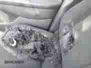 2018 Nissan Murano SV с VIN 5N1AZ2MH1JN158501, выставлен на аукционе IAAI как лот 43393117 с пробегом 87 589 миль миль и . История ставок и продаж доступна на DreamBid. Изображение 12.