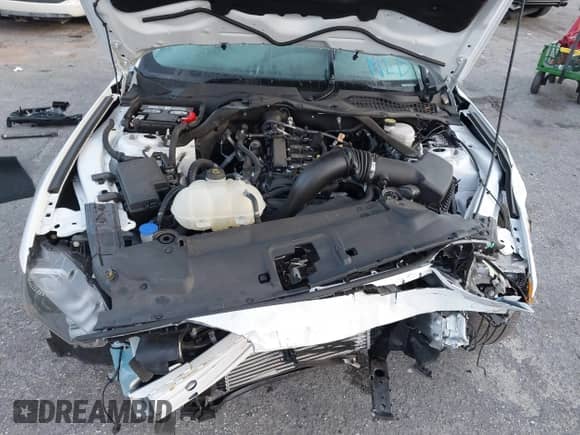 2021 Ford Mustang EcoBoost с VIN 1FATP8UH9M5147083, выставлен на аукционе IAAI как лот 41640618 с пробегом 12 290 миль миль и . История ставок и продаж доступна на DreamBid. Изображение 10.