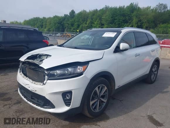 2019 Kia Sorento EX with VIN 5XYPHDA53KG462249, listed as a IAAI auction lot 42367289 with 74,439 mi miles and . Bid and sale history available at DreamBid. Image 17.