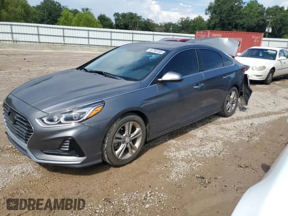 2018 Hyundai Sonata Sport with VIN 5NPE34AF0JH646148, listed as a Copart auction lot 69790185 with 95,843 mi miles and Salvage title. Bid and sale history available at DreamBid. Image 1.
