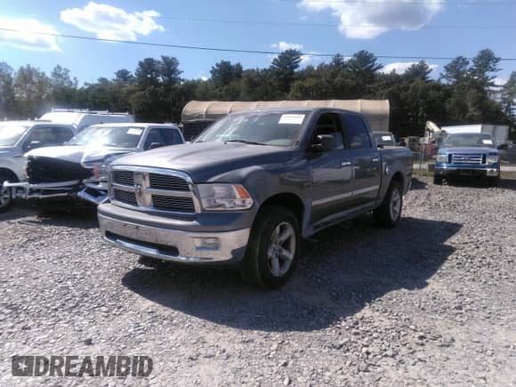 2009 Dodge 1500 SLT with VIN 1D3HV13T19S768725, listed as a IAAI auction lot 42997064 with 165,834 mi miles and . Bid and sale history available at DreamBid. Image 2.