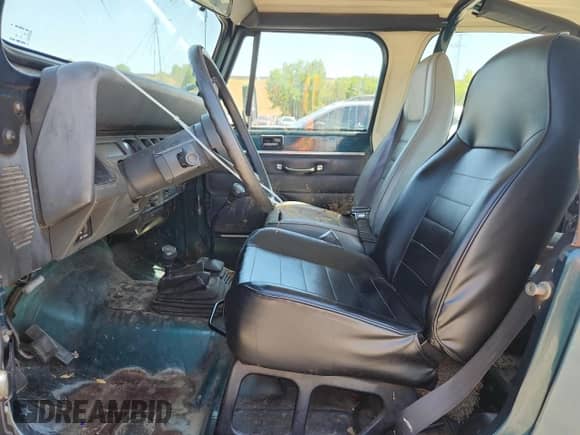 1995 Jeep Wrangler S with VIN 1J4FY19P4SP263783, listed as a Copart auction lot 69754055 with 176,518 mi miles and Salvage title. Bid and sale history available at DreamBid. Image 7.