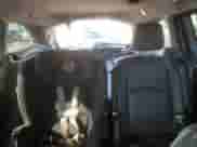 2024 Honda Odyssey Elite with VIN 5FNRL6H98RB023335, listed as a Copart auction lot 69939165 with 20,115 mi miles and Salvage title. Bid and sale history available at DreamBid. Image 10.