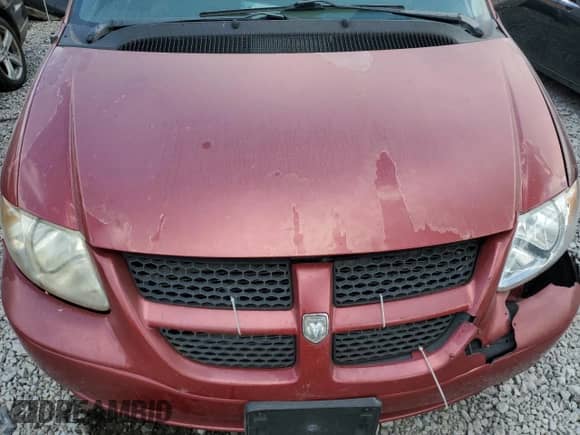 2003 Dodge Caravan Sport with VIN 2D4GP44L03R176114, listed as a Copart auction lot 84481385 with Not provided miles and Clean title. Bid and sale history available at DreamBid. Image 12.