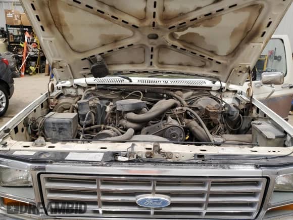 1986 Ford F-150 z VIN 1FTEF14N7GPB20380, wystawiony jako Copart lot #55316365 z przebiegiem 54 474 mil mil oraz Czysty tytuł • Clean title. Historia ofert i sprzedaży dostępna na DreamBid. Obrazek 11.