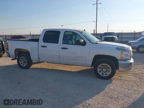 2012 Chevrolet Silverado 1500 LS z VIN 3GCPCREA3CG240817, wystawiony jako IAAI lot #43135184 z przebiegiem 314 528 mil mil oraz . Historia ofert i sprzedaży dostępna na DreamBid. Obrazek 13.