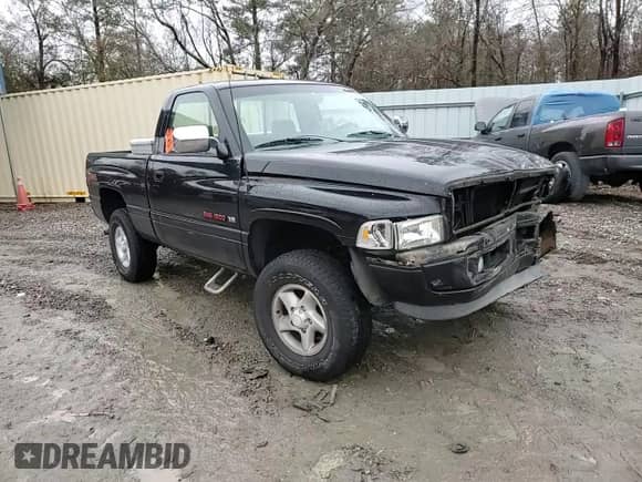 1997 Dodge 1500 with VIN 1B7HF16ZXVJ522763, listed as a Copart auction lot 42707965 with 119,365 mi miles and Salvage title. Bid and sale history available at DreamBid. Image 11.