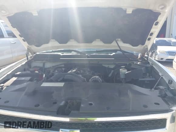 2010 Chevrolet Silverado 1500 LT with VIN 1GCSCSE01AZ193521, listed as a IAAI auction lot 43333362 with 282,551 mi miles and . Bid and sale history available at DreamBid. Image 10.