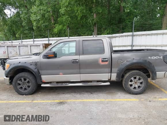 2009 Ford F-150 XL with VIN 1FTRW14829FB24504, listed as a IAAI auction lot 42485199 with 198,639 mi miles and . Bid and sale history available at DreamBid. Image 14.