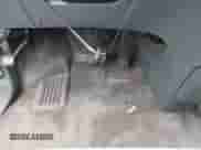 2000 Honda Odyssey EX с VIN 2HKRL1866YH523647, выставлен на аукционе IAAI как лот 43044732 с пробегом 195 061 миль миль и . История ставок и продаж доступна на DreamBid. Изображение 11.