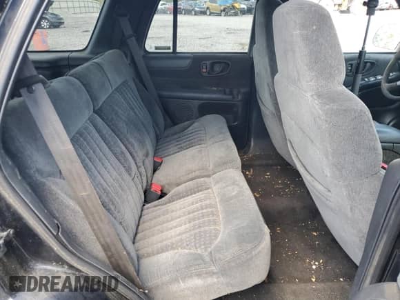 2000 Chevrolet Blazer LS z VIN 1GNCS13W3Y2297205, wystawiony jako Copart lot #52946885 z przebiegiem 204 232 mil mil oraz Szkoda całkowita • Salvage title. Historia ofert i sprzedaży dostępna na DreamBid. Obrazek 10.