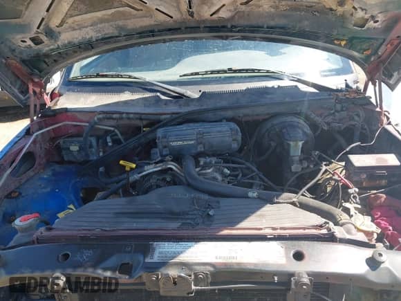 1997 Dodge 1500 with VIN 1B7HC13Y4VJ608090, listed as a IAAI auction lot 43427617 with 214,100 mi miles and . Bid and sale history available at DreamBid. Image 10.