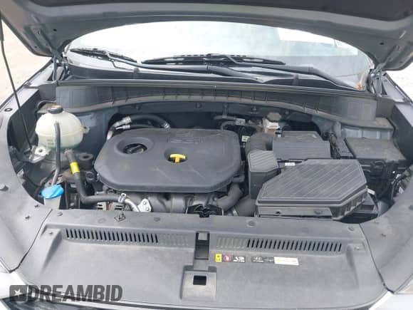 2019 Hyundai Tucson Value с VIN KM8J3CA45KU077470, выставлен на аукционе IAAI как лот 42503454 с пробегом 114 275 миль миль и . История ставок и продаж доступна на DreamBid. Изображение 10.