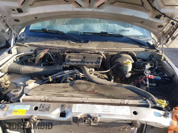 2001 Dodge 1500 z VIN 1B7HC13Z41J605807, wystawiony jako IAAI lot #43313152 z przebiegiem Nie podano mil oraz . Historia ofert i sprzedaży dostępna na DreamBid. Obrazek 10.