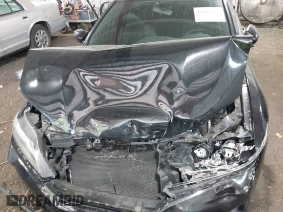 2017 Honda Accord LX-S with VIN 1HGCT1B3XHA003772, listed as a IAAI auction lot 43160153 with 111,053 mi miles and . Bid and sale history available at DreamBid. Image 10.