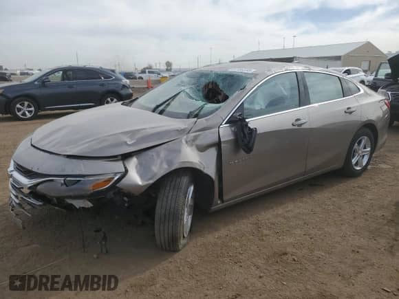 2024 Chevrolet Malibu LS с VIN 1G1ZC5ST5RF129373, выставлен на аукционе Copart как лот 56186335 с пробегом 14 650 миль миль и Чистый • Clean title. История ставок и продаж доступна на DreamBid. Изображение 1.