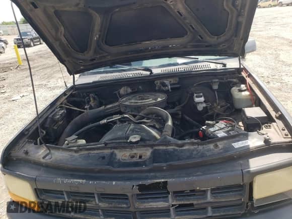 1995 Dodge Dakota SLT z VIN 1B7FL26X5SW902578, wystawiony jako Copart lot #60736735 z przebiegiem 363 407 mil mil oraz Szkoda całkowita • Salvage title. Historia ofert i sprzedaży dostępna na DreamBid. Obrazek 11.