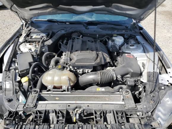 2018 Ford Mustang EcoBoost with VIN 1FA6P8TH2J5118731, listed as a Copart auction lot 85558515 with 65,262 mi miles and Salvage title. Bid and sale history available at DreamBid. Image 11.