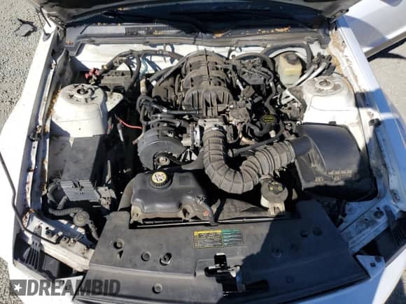 2005 Ford Mustang Deluxe with VIN 1ZVFT80N855149419, listed as a Copart auction lot 90728375 with 200,817 mi miles and Salvage title. Bid and sale history available at DreamBid. Image 11.
