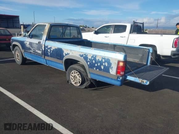 1991 Dodge Dakota S with VIN 1B7GL26X8MS361377, listed as a IAAI auction lot 43316945 with 230,792 mi miles and . Bid and sale history available at DreamBid. Image 3.
