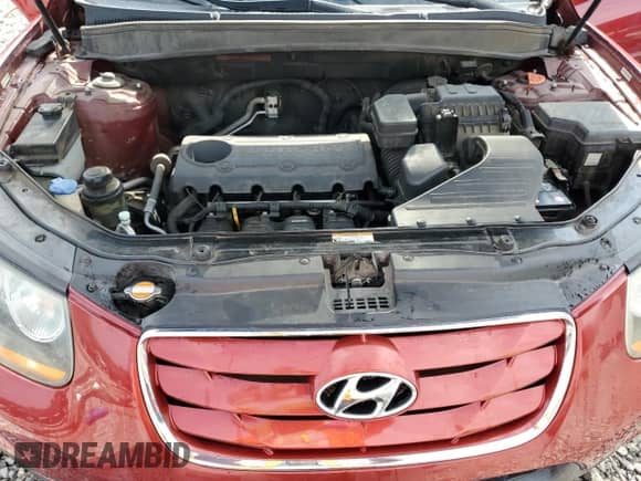 2010 Hyundai Santa Fe Limited with VIN 5NMSK3ABXAH371768, listed as a Copart auction lot 60420985 with 206,087 mi miles and Salvage title. Bid and sale history available at DreamBid. Image 12.