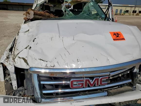 2013 GMC Sierra 1500 SLE with VIN 3GTP1VE02DG183212, listed as a Copart auction lot 80834285 with Not provided miles and Non repairable. Bid and sale history available at DreamBid. Image 11.