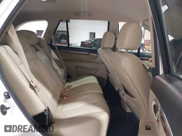 2008 Hyundai Santa Fe GLS with VIN 5NMSG13D38H142685, listed as a IAAI auction lot 42884224 with 212,500 mi miles and . Bid and sale history available at DreamBid. Image 8.