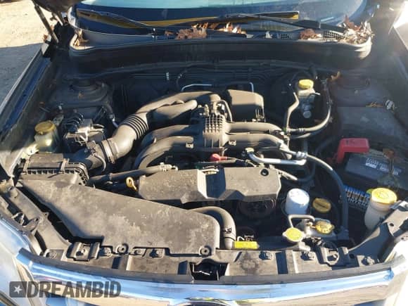 2011 Subaru Forester X Premium с VIN JF2SHADC5BH711193, выставлен на аукционе IAAI как лот 43565341 с пробегом 193 782 миль миль и . История ставок и продаж доступна на DreamBid. Изображение 10.