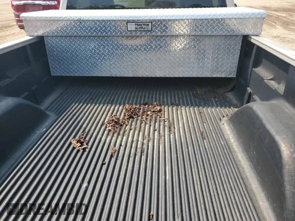 2005 GMC Sierra 1500 Work Truck z VIN 1GTEC14X65Z353582, wystawiony jako Copart lot #59797365 z przebiegiem 159 482 mil mil oraz Czysty tytuł • Clean title. Historia ofert i sprzedaży dostępna na DreamBid. Obrazek 10.