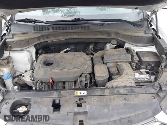 2018 Hyundai Santa Fe 2.4L с VIN 5XYZU3LB3JG521526, выставлен на аукционе IAAI как лот 43433382 с пробегом 152 194 миль миль и . История ставок и продаж доступна на DreamBid. Изображение 10.