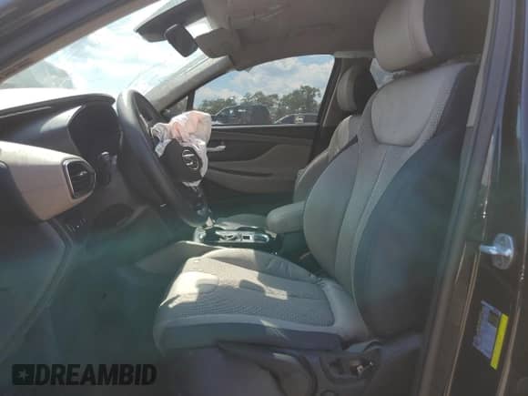 2020 Hyundai Santa Fe SE с VIN 5NMS2CAD8LH145197, выставлен на аукционе Copart как лот 70950385 с пробегом 107 820 миль миль и Списание • Salvage title. История ставок и продаж доступна на DreamBid. Изображение 7.