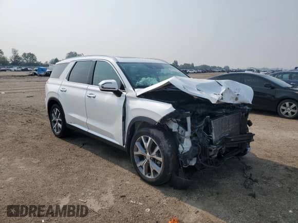 2022 Hyundai Palisade SEL с VIN KM8R3DHE5NU357482, выставлен на аукционе Copart как лот 66821425 с пробегом 55 485 миль миль и Списание • Salvage title. История ставок и продаж доступна на DreamBid. Изображение 4.