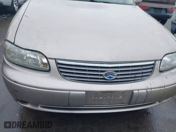 1998 Chevrolet Malibu LS с VIN 1G1NE52M1W6249023, выставлен на аукционе IAAI как лот 41779319 с пробегом 71 307 миль миль и . История ставок и продаж доступна на DreamBid. Изображение 15.