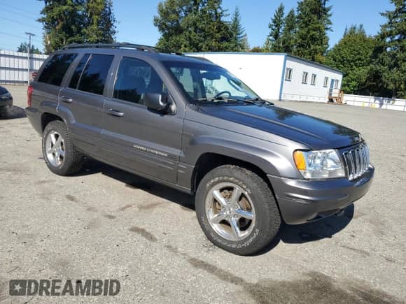2002 Jeep Grand Cherokee Limited z VIN 1J8GW58J32C256389, wystawiony jako Copart lot #80217465 z przebiegiem 129 610 mil mil oraz Szkoda całkowita • Salvage title. Historia ofert i sprzedaży dostępna na DreamBid. Obrazek 4.