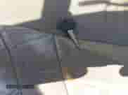 2002 Jeep Grand Cherokee Sport with VIN 1J4GW38S72C276689, listed as a IAAI auction lot 42586977 with 360,258 mi miles and . Bid and sale history available at DreamBid. Image 11.