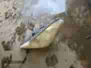 2008 Hyundai Entourage GLS z VIN KNDMC233486054453, wystawiony jako Copart lot #64286305 z przebiegiem 159 649 mil mil oraz Szkoda całkowita • Salvage title. Historia ofert i sprzedaży dostępna na DreamBid. Obrazek 13.