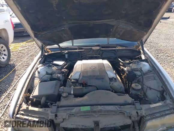 2001 BMW 7 Series 740iL с VIN WBAGH83411DP21875, выставлен на аукционе IAAI как лот 43290518 с пробегом 209 264 миль миль и . История ставок и продаж доступна на DreamBid. Изображение 10.