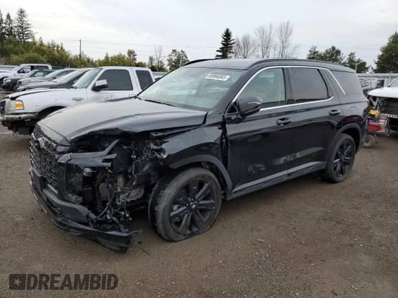 2025 Hyundai Palisade XRT с VIN KM8R3DGE2SU831160, выставлен на аукционе Copart как лот 80966065 с пробегом 17 651 миль миль и Списание • Salvage title. История ставок и продаж доступна на DreamBid. Изображение 1.